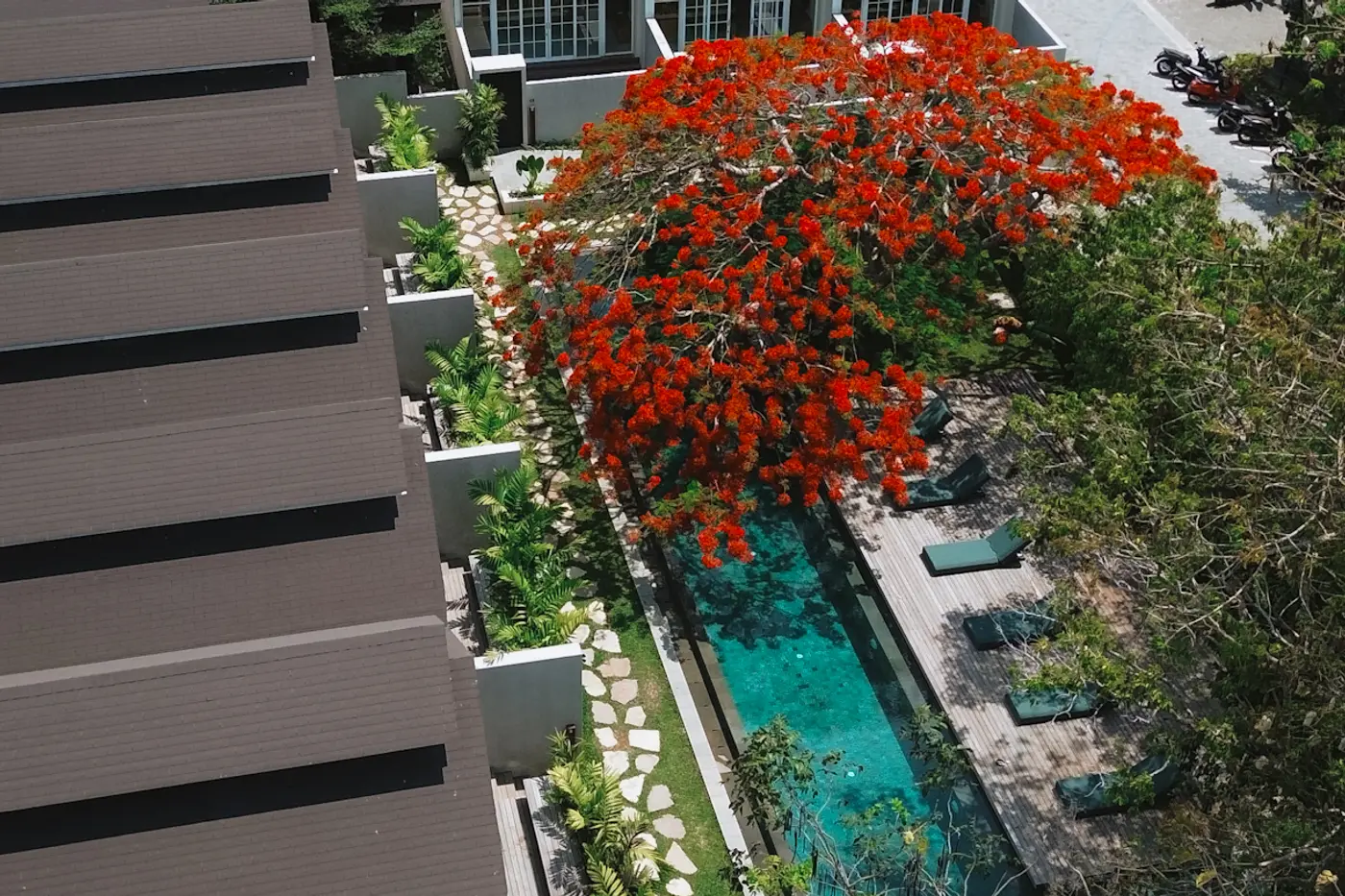 The pool and flame tree between the villa roofs at ASAI Village, above Jimbaran bay